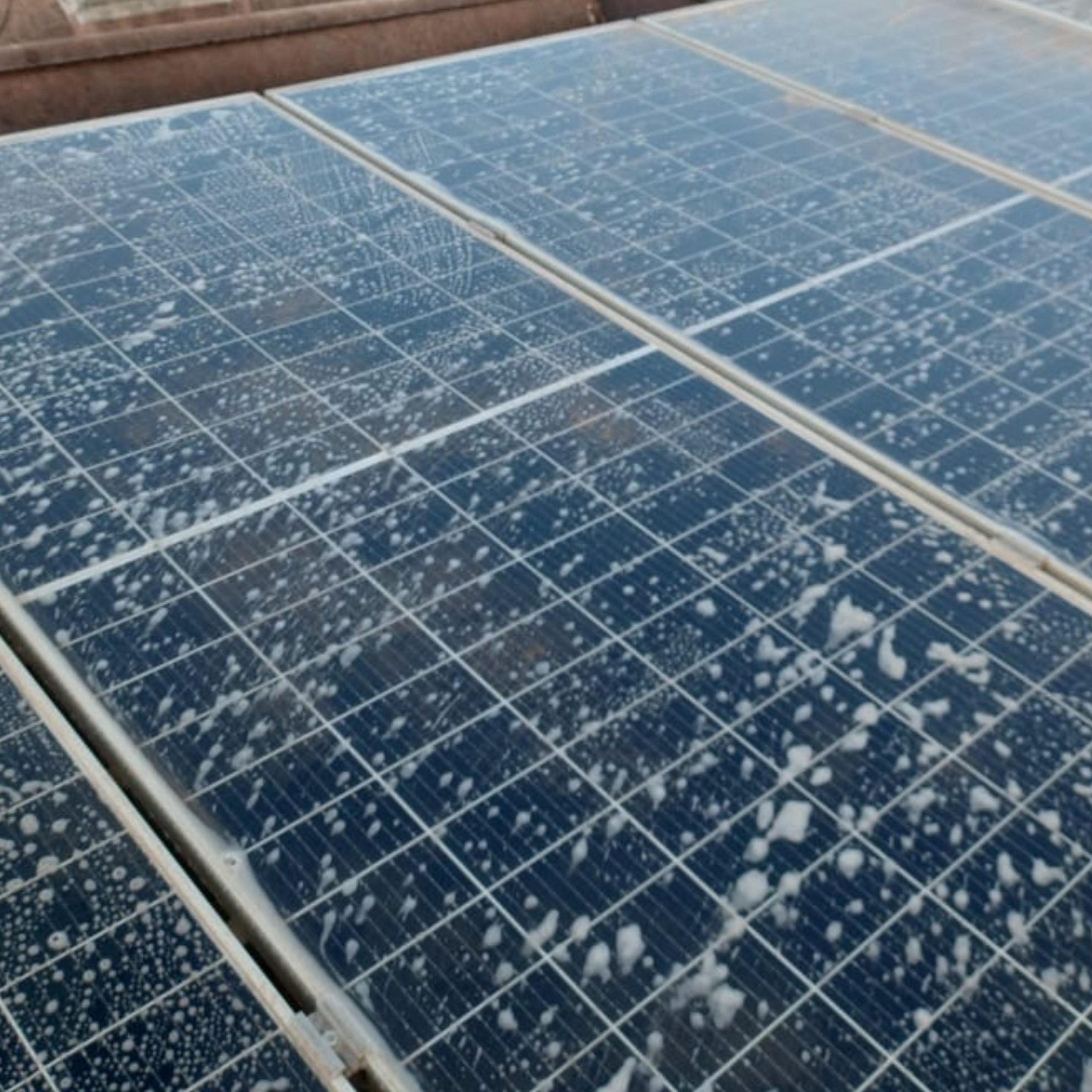 WhatsApp Image 2025-08-14 at 18.11.20 (2)